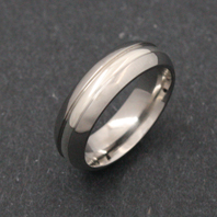 Titanium Ring - Silver Cesarion